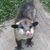 Bryan Stow's profile image