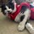 Dolly LaBelle's profile image