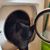 BeLinda F Grimm-Wilson's profile image