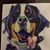 Randy Harmon's profile image