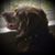 Ginny Ray's profile image