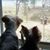 Brenda Parman Kucharski's profile image