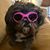 Angela Belt Westmorland's profile image