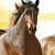 Lucy Steach's profile image