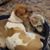 Janet Schwartz Mason's profile image
