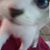 Amy Speiser Allen's profile image