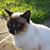 Kimberly Ann Miner's profile image