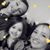 Anastasia Mazzone-Sauers's profile image