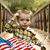 Boyd Rollyson's profile image