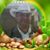 Thomas Garza's profile image
