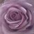 Staci McCracken's profile image