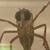 Nat Baxa's profile image