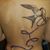 Fritzie Moreno Baxter's profile image