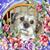 Emilie Massy Philips's profile image