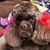 Melanie Cooper Byrnes's profile image