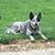 Victoria Pecka-Beach's profile image