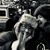 Stacey Gosdeck's profile image