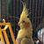 Cheryl Boren's profile image