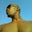 DIESEL's profile image