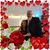 Rachel Musca Wurster's profile image