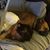 Bernadette Crucilla's profile image
