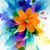 Deb Bellaire's profile image