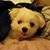 Teri Fosbinder's profile image