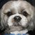 Terri Montgomery's profile image