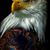 Ron Johnson's profile image