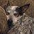 Cindie Edmunds's profile image