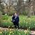 Sarah Wood's profile image