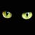 Heather Larson's profile image