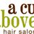 A Cut Above - An Aveda Concept Salon's profile image