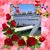 Jean Hall's profile image