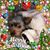 Karina Iorio's profile image