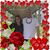 Teresa Cartee Lewis's profile image