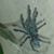Christine Graves's profile image