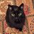 Cheryl Savko Krawetz's profile image
