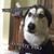 Cbarlie Rain's profile image