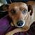 Lizzie Langston's profile image