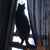 Vickie Buck's profile image