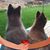 Ashley Slabaugh's profile image