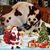 Sandy Burke's profile image