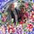 Meri L HutchinsonGuzzetta's profile image