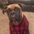 Linda Sarrell-Eberle's profile image