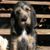 Esmeralda Cardenas Carmichael's profile image
