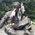 Dawn M Sink's profile image