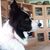Carol Tracht-Kader's profile image