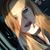 Lauren Brodie Stewart's profile image