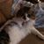 Elizabeth Russo Denman's profile image
